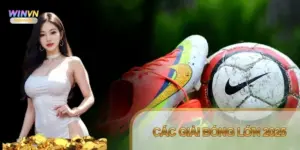Các giải bóng lớn 2025