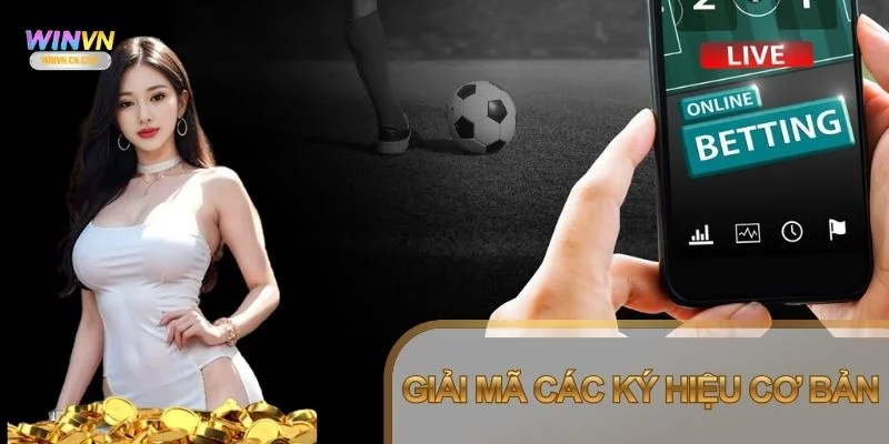 Cách hiển thị ngắn gọn giúp người mới quan sát nhanh