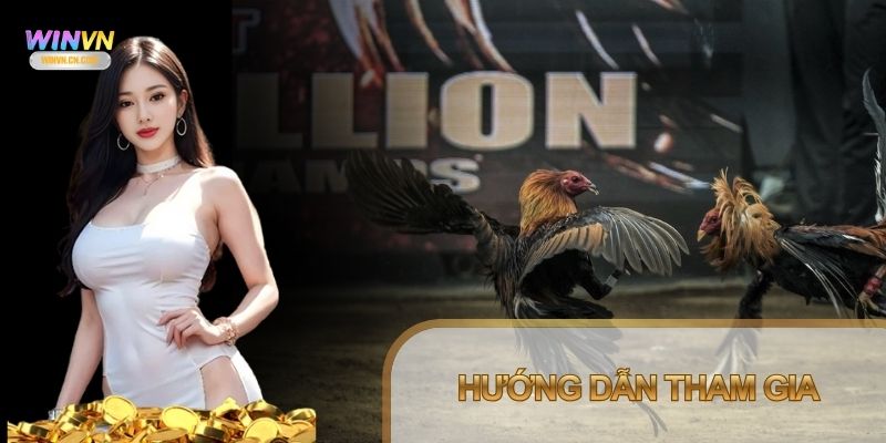 Hệ thống hỗ trợ cược đá gà trực tiếp trên đa nền tảng