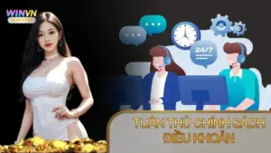Tuân thủ chính sách chơi có trách nhiệm Winvn