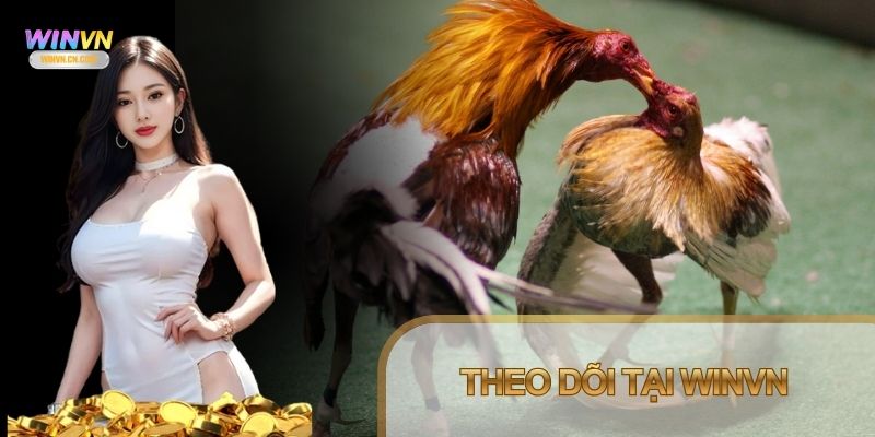 Winvn đáp ứng đầy đủ các tiêu chí khắt khe nhất